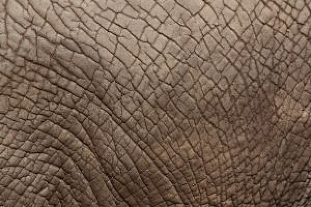 plastisol pele de elefante fremplast - PLASTISOL PELE DE ELEFANTE