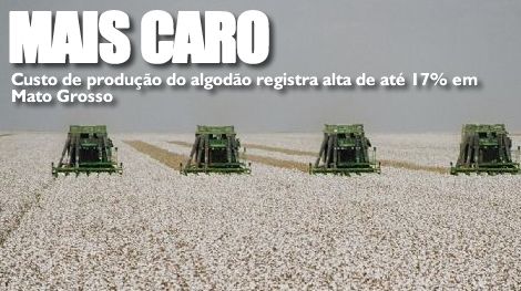 algodao - Custo de produção do algodão registra alta de até 17% em Mato Grosso